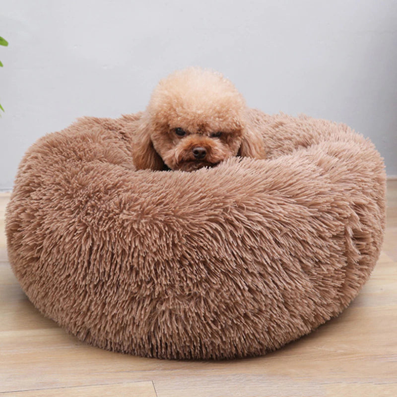 FLUFFY BED